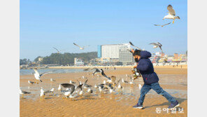“오늘은 폭식하는 날”