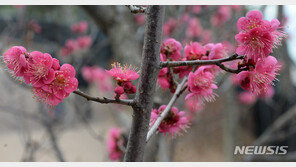 내일 낮 최고 8~15도, 오늘보다 따뜻…아침엔 쌀쌀