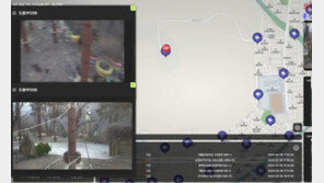 도봉구 놀이터에 멧돼지 무리 나타나…“4마리 포획·사살”