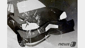 저혈당 쇼크 온 운전자 車 전복…퇴근길 경찰이 약먹여 구조