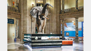 “한국판 스미스소니언 박물관 만들자” 33개 학술단체 나섰다 