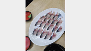 “고등어회 20점에 3만원, 이게 맞나요?”…제주도 횟집 바가지 ‘시끌’