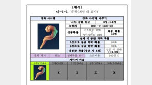 정부, 확률 공개 해설서 배포…“직·간접적 유상 구매 아이템 공개 의무화“