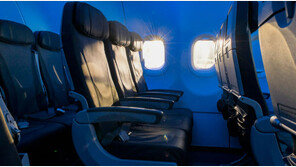 “구더기가 와르르”…비행기 승객들에 쏟아져 ‘경악’