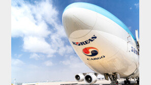 작년 사상 최대 실적 낸 대한항공, 성과급 407% 준다