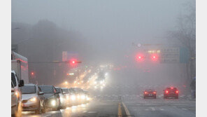 짙은 안개속 흩날리는 비… ‘우수’에 젖은 도시