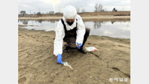 “황금 똥, 심봤다” 인체감염 AI바이러스 쫓는 사람들 