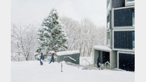 “3월에도 흰눈 내리는 일본 니세코로 봄 스키 타러 떠나요”