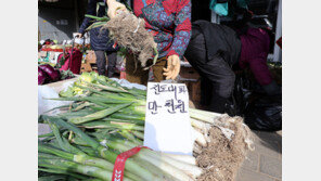 ‘파테크’ 해야 하나…1년 전보다 35% 뛴 대파값