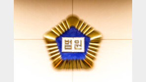 미국에 있는 지인에 “공기총 배송해줘” 밀수입 시도한 50대, 징역형 