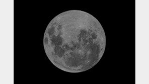 올해 정월대보름 달은 ‘미니문’…올해 뜨는 보름달 중 가장 작아