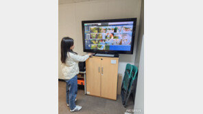 “경복궁 낙서 재발 NO”…문화유산 ‘사물인터넷 방범’ 도입