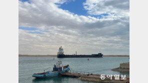 ‘물류 동맥’ 수에즈, 3시간에 대형선박 2대뿐…후티발 물류 대란 석달째