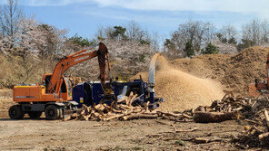 “늘 푸를 수 있도록”… 첨단기술로 소나무재선충병 집중 방제 