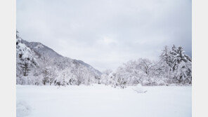수도권 대설 특보에 중대본 1단계 가동…위기경보 ‘주의’