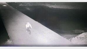 흉기로 70대 위협, ATM기까지 데려가 돈 빼앗은 30대 불법체류자 검거