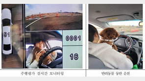 반려동물 안고 운전하면 위험성 4.7배 커진다…시야가림·집중력 분산 등 우려