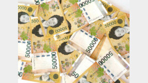 사기꾼이 들고 튄 현금 10억 압수한 경찰…언제 주인에 반환