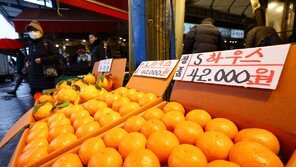 귤값 한달새 49% 껑충… ‘생산자물가지수’ 두달 연속 상승 