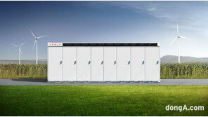 LG에너지솔루션, 中 업체와 LFP 양극재 장기 계약… “테슬라 메가팩 등 ESS와 연결고리”