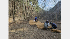 환경보호 활동 강화하는 KT&G… 경북 영양 습지 보존공사 완료