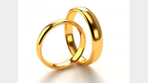 “10년 전 내가 잡은 그놈”…경찰 기억력에 또 붙잡힌 금반지 절도범