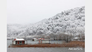 겨울왕국으로 변한 ‘자연특별시’ 괴산…설경 ‘장관’
