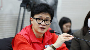 “청년 기준 39세로…청년·신혼·출산 주택 대량 공급”…국힘 청년공약