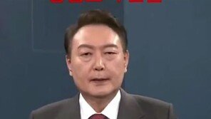 “저 윤석열, 국민 괴롭혀” 총선 앞두고 대통령 겨냥 딥페이크 확산