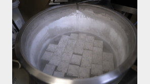 “냉동배아도 인간” 美대법원 첫 판결…난임 시술 중단 등 혼란 확산