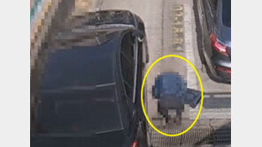 “차에 부딪혔으니 25만원 달라”…CCTV에 잡힌 황당 반전 (영상)