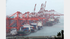 한국인 최초 여성 선장, 국내 첫 ‘여성 도선사’ 되다