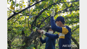 귀농 5년차 소득 48%↑·지출 30%↓…10가구 중 7가구 ‘만족’