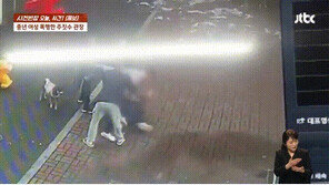 “난 정신병자”…놀이터 흡연 여성 쫓아가 폭행한 주짓수 관장