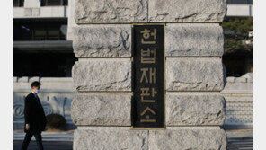 헌재 “‘32주 전 태아 성감별 금지’ 의료법은 위헌”