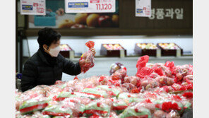 한달새 사과 8%, 배 20%↑ 잡히지 않는 과일값…포도·오렌지도 오른다