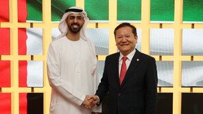 행안부, UAE와 디지털정부 협력 강화…“한국 IT기업 중동 진출 노력”