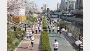 “벚꽃과 함께 달려요” 은평구, 불광천 벚꽃 마라톤대회 개최