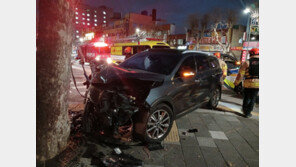 가로수 받고 다리 다친 동승자만 두고 도주 20대 “음주운전 겁나서”