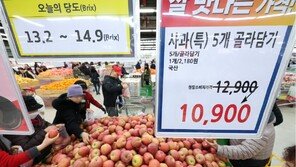 “봄철 채소 봤다가 가격 보고 내렸어요”…물가 상승에 닫히는 지갑