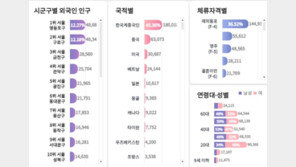 서울 거주 외국인 40만, 중국인 24만 최다…4명 중 1명 영등포·구로 거주