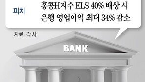 홍콩ELS 배상-연체율 상승… 피치도 “韓은행권 실적 악화될것”
