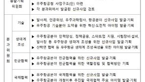 한국판 NASA 할 일 찾아라…우주업계서 400개 사업 제안