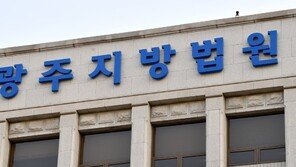 생후 7개월 아들 죽인 친모 “산후우울증 심신미약” 주장