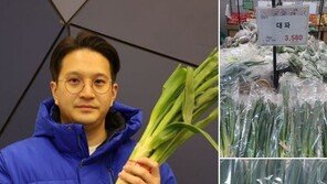 “이 지역 대파는 얼마?”…민주, ‘대파 챌린지’로 정권 심판론 강화