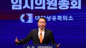 최태원 상의 회장 연임… “사회난제 해결 3년 더 기여”