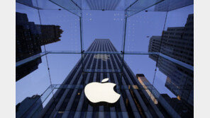 美정부, 애플에 反독점 소송…애플 방해로 각국 기업 美 스마트폰 시장서 퇴출