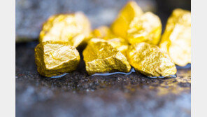 영국서 들판 뒤지다 금덩어리 발견…최고 6700만원 추정
