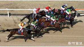 과천벌 1800m ‘여왕마 레이스’… 즐거운여정-원더풀슬루 등 각축