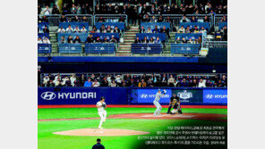 ‘서울 MLB’에 150억 통 큰 베팅… 쿠팡 ‘마케팅 홈런’